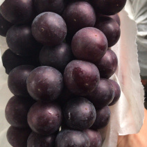 夏黑葡萄夏黑葡萄夏黑葡萄