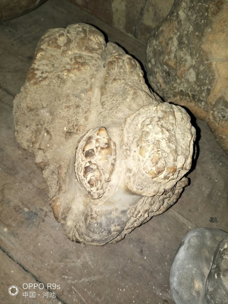 广西省河池市天峨县下老乡各种各样的红水河奇石