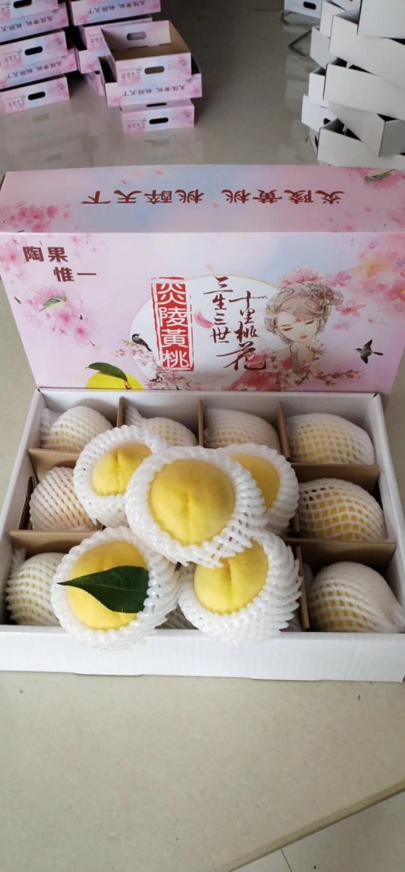 漳州水果批发市场，批发全国各地水果，有专业人士共同合作
