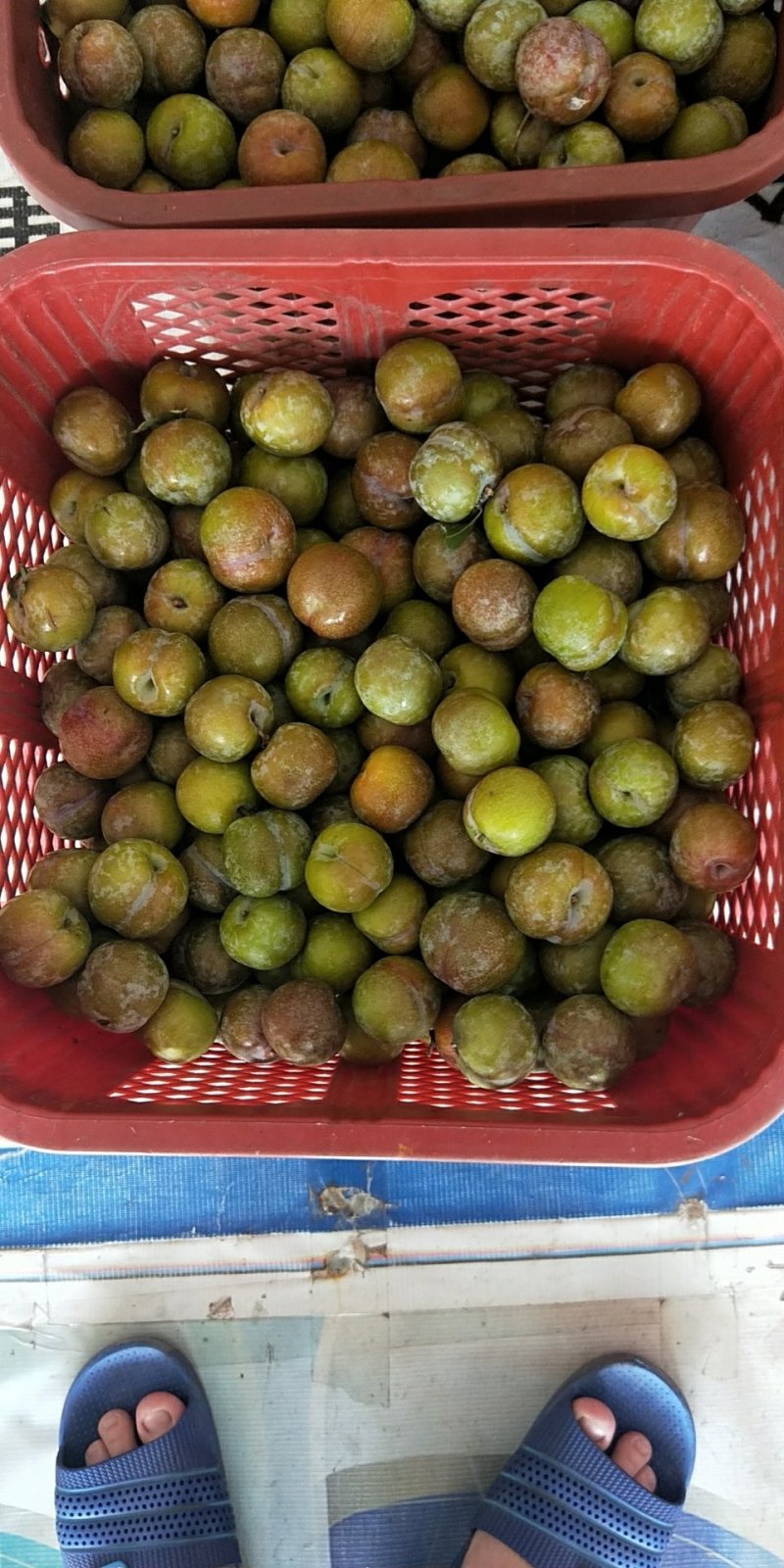 漳州水果批发市场，批发全国各地水果，有专业人士共同合作