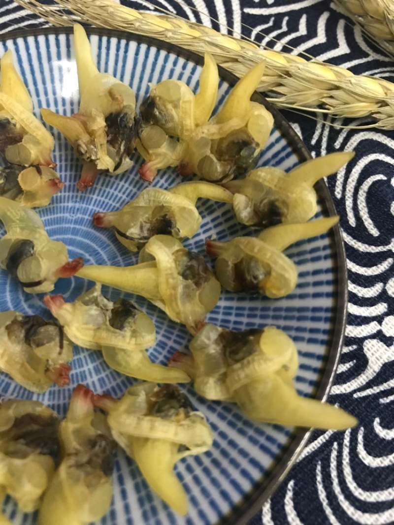 花甲螺肉干蛤蜊肉干