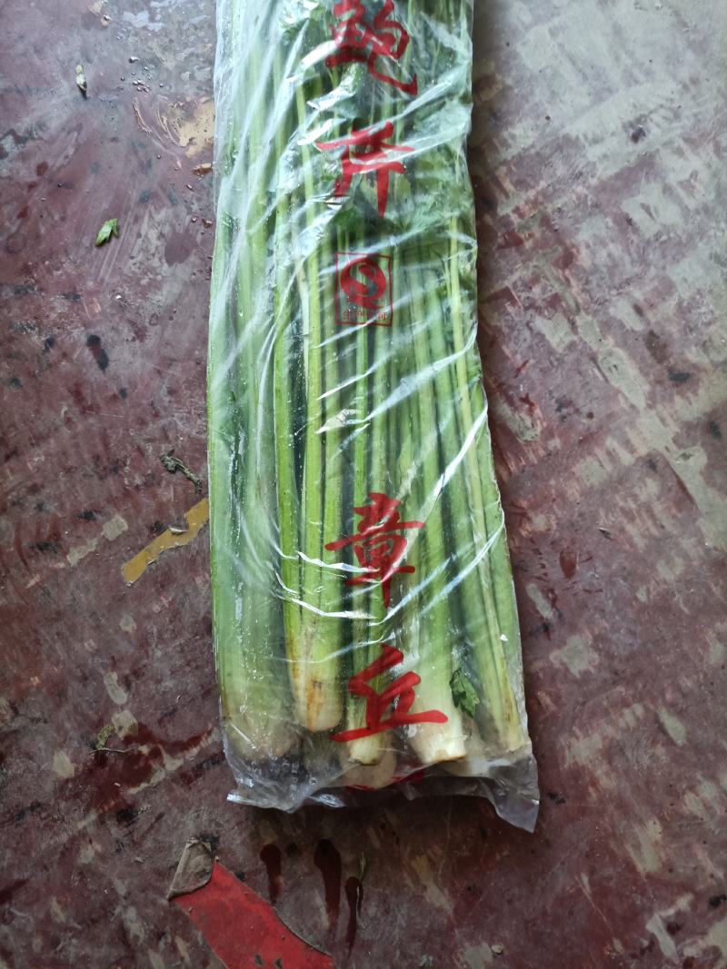 鲍芹章丘鲍芹产地直供正宗有机鲍芹