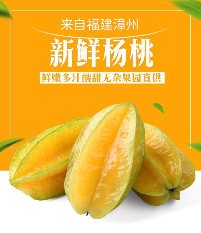 新鲜杨桃热带水果现摘现发男女老少皆宜长痘痘喜欢吃杨桃