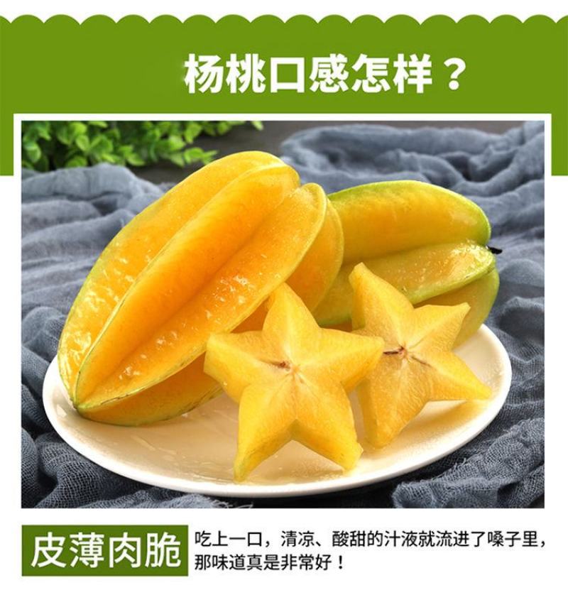 新鲜杨桃热带水果现摘现发男女老少皆宜长痘痘喜欢吃杨桃