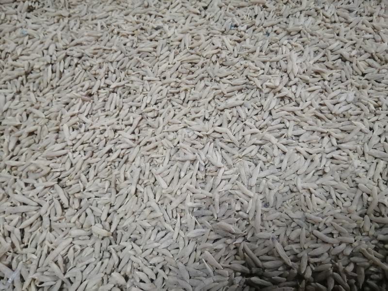 麦冬产地直销支持线上保障交易，看的起的老板联系