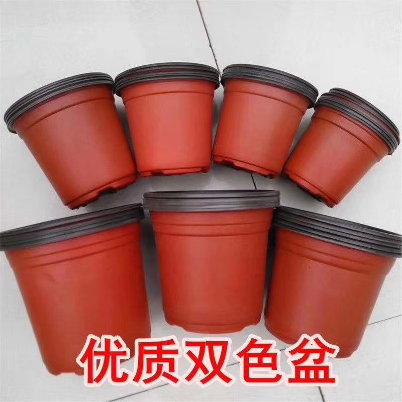 双色花盆，红色软花盆90的100个育苗花盆，