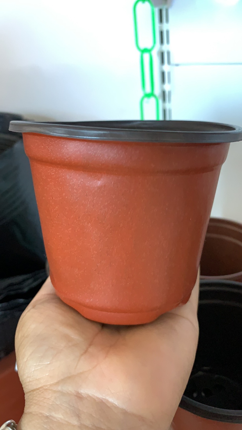 双色花盆，红色软花盆90的100个育苗花盆，