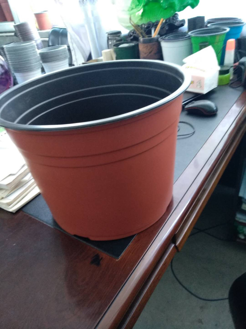 双色花盆，红色软花盆90的100个育苗花盆，