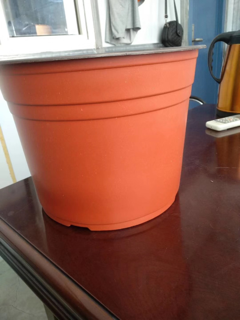 双色花盆，红色软花盆90的100个育苗花盆，
