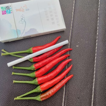 大量供应艳红辣椒，线椒，泡椒，美人椒。
