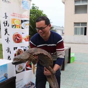 生态养殖娃娃鱼，基地直供