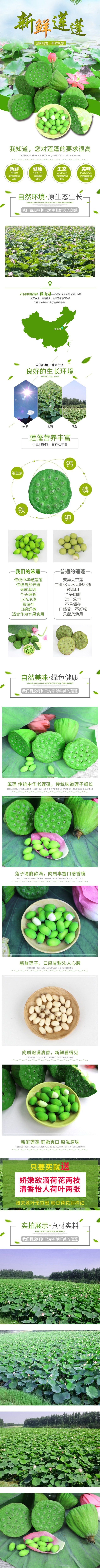 微山湖野生莲蓬中华传统笨莲蓬滋味好