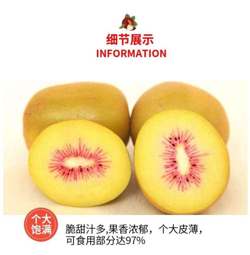 四川红心猕猴桃，产地直供，新鲜包邮到家，口感甘甜，全国发货！