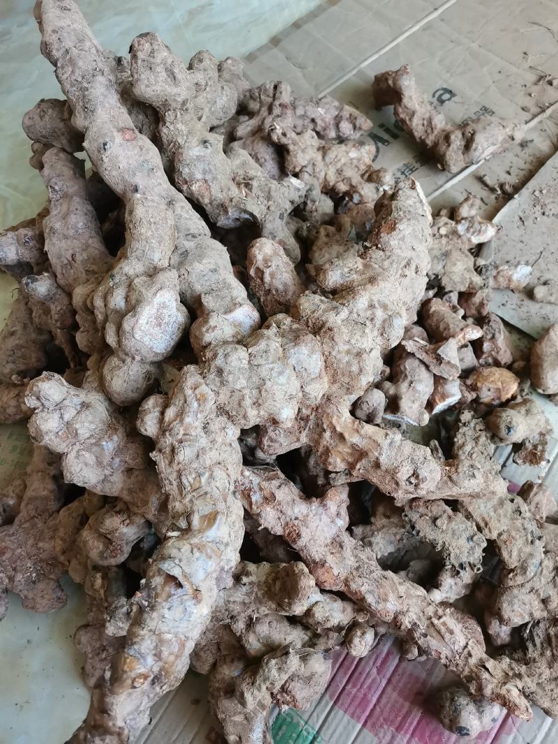 纯野生土茯苓，新鲜采挖！