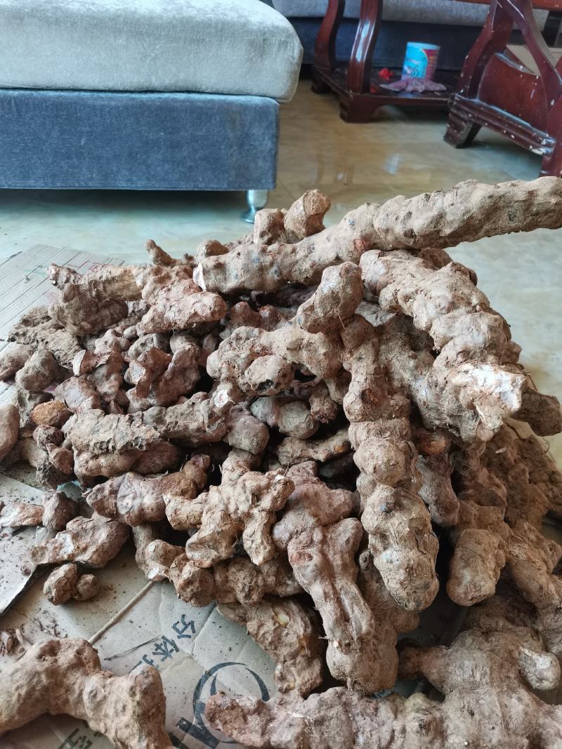 纯野生土茯苓，新鲜采挖！
