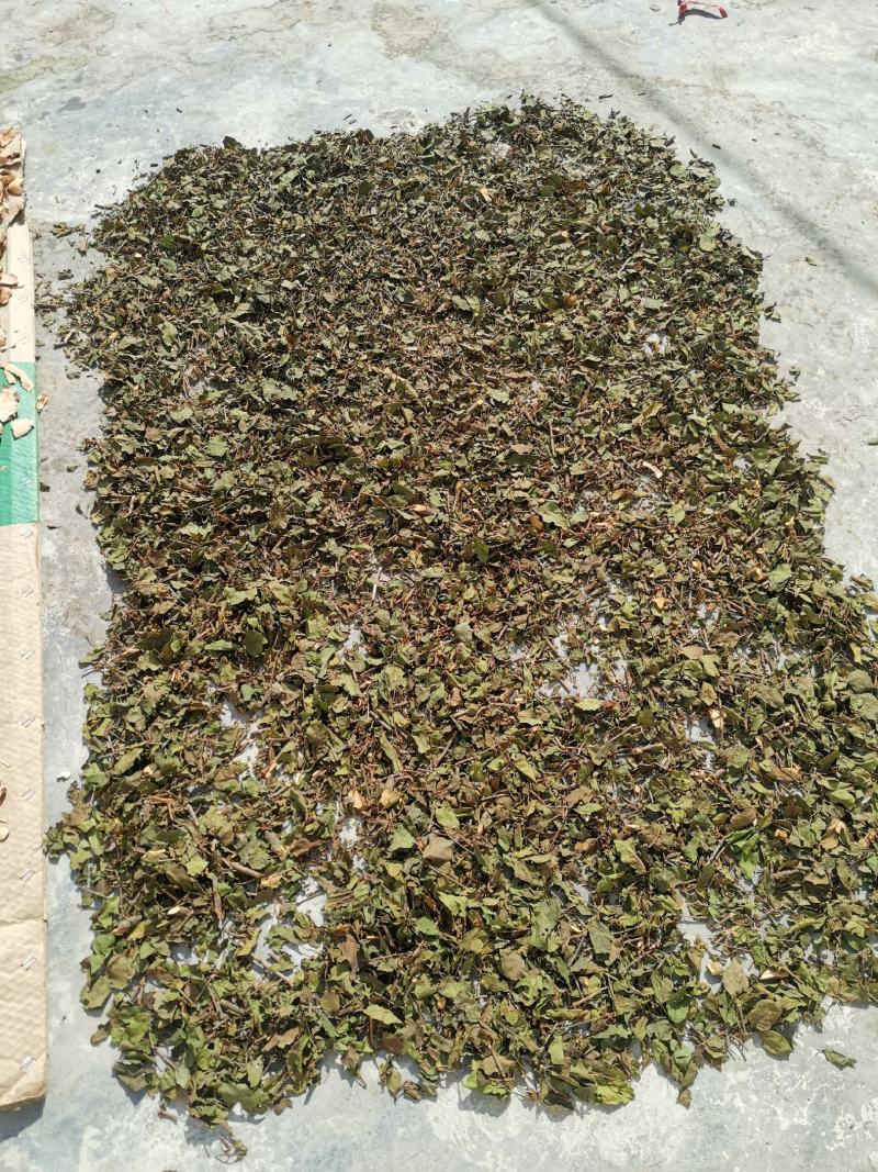 纯野生土茯苓，新鲜采挖！