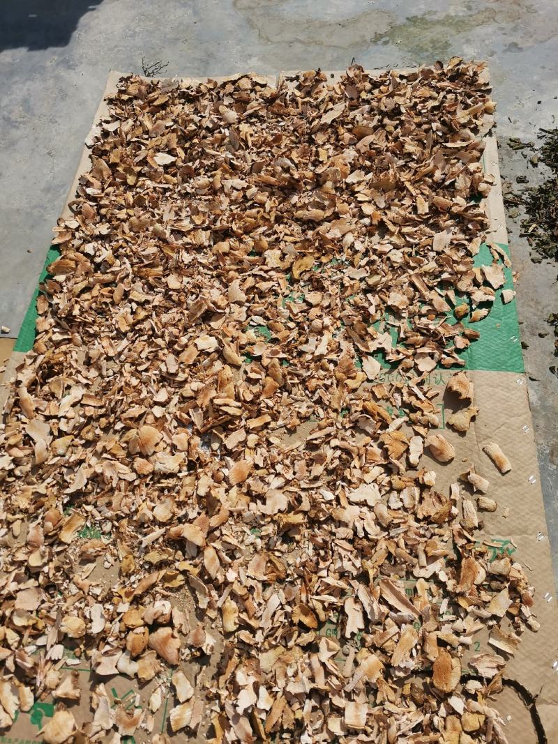 纯野生土茯苓，新鲜采挖！