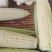 200亩鲜食玉米即将上市