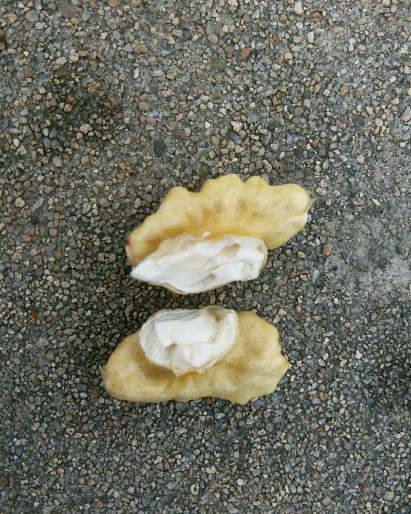 干核桃上市中，香菱薄皮，价格低质量好量大质优