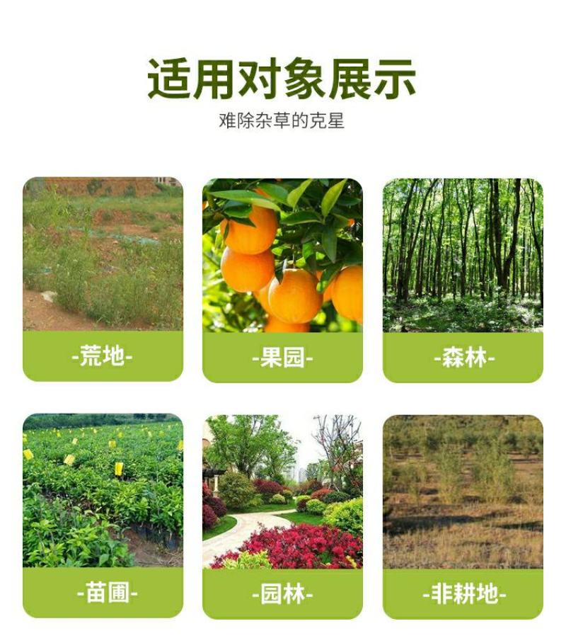 草甘膦铵盐内吸性一年生杂草除草烂根除草杀草一次净