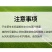 草甘膦铵盐内吸性一年生杂草除草烂根除草杀草一次净