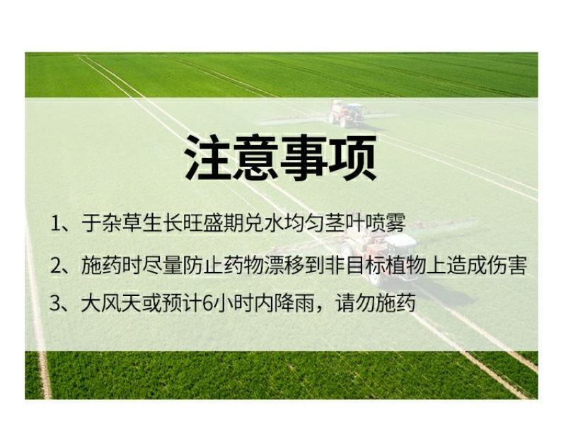 草甘膦铵盐内吸性一年生杂草除草烂根除草杀草一次净