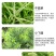 草甘膦铵盐内吸性一年生杂草除草烂根除草杀草一次净