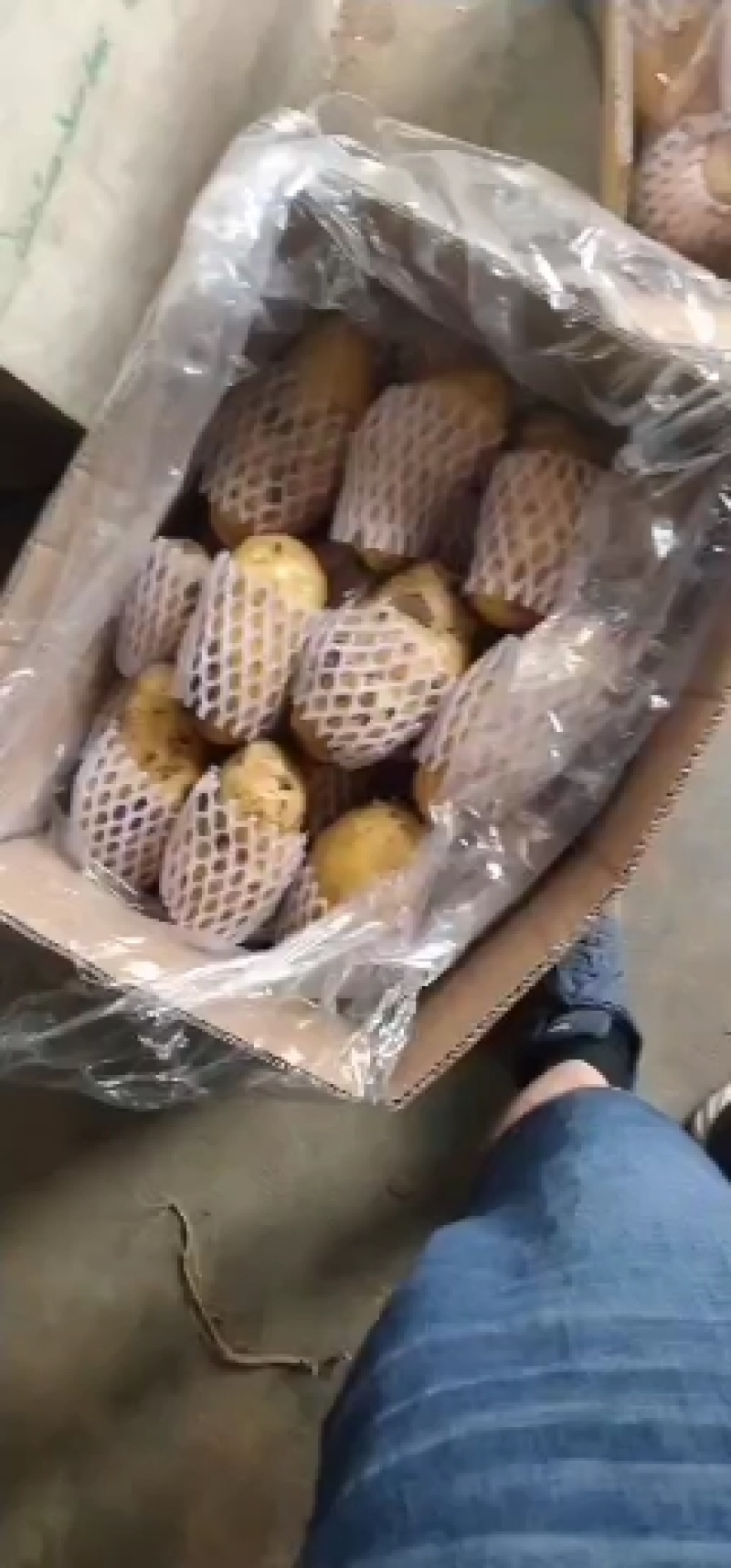 【推荐】山东土豆荷兰十五土豆冷库土豆大量供应规格齐全
