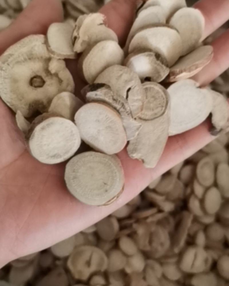白芍过筛0.8筛大选圆片纯干产地直供