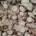 白芍过筛0.8筛大选圆片纯干产地直供