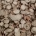 白芍过筛0.8筛大选圆片纯干产地直供