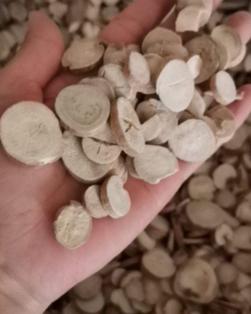 白芍过筛0.8筛大选圆片纯干产地直供
