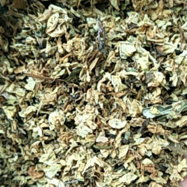槐花，常年批发供应冷背中药材槐花