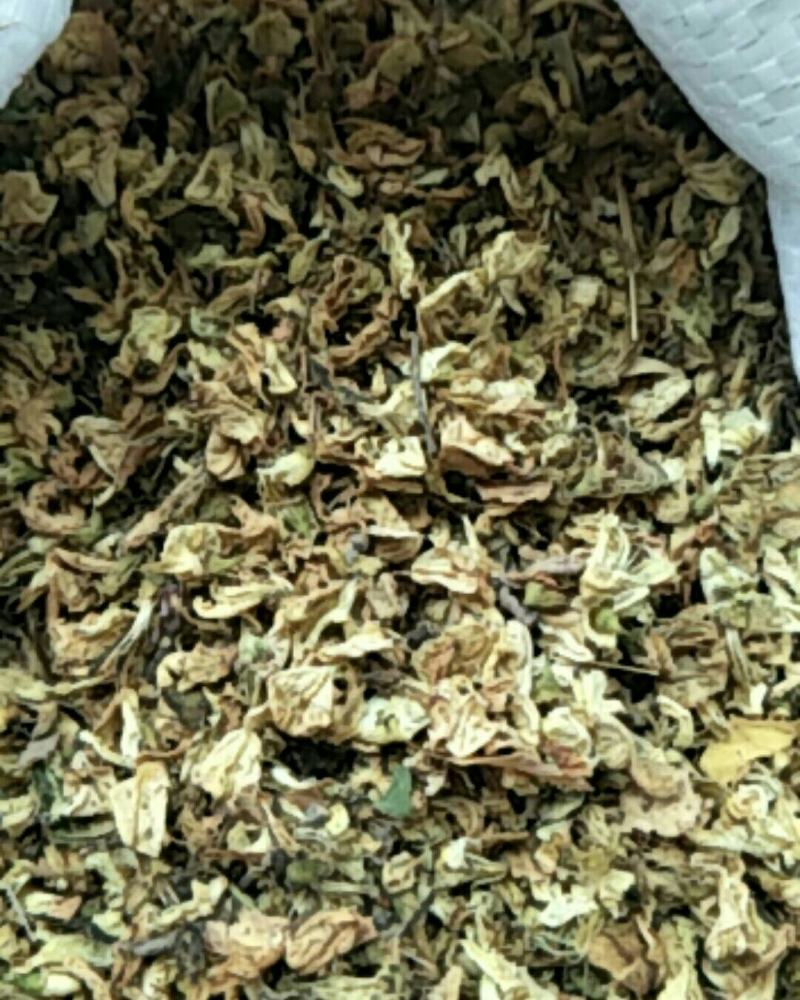 槐花，常年批发供应冷背中药材槐花