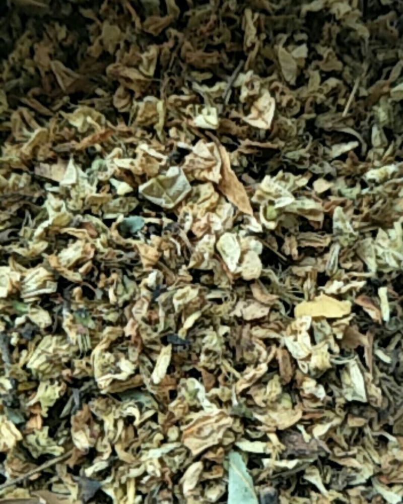 槐花，常年批发供应冷背中药材槐花