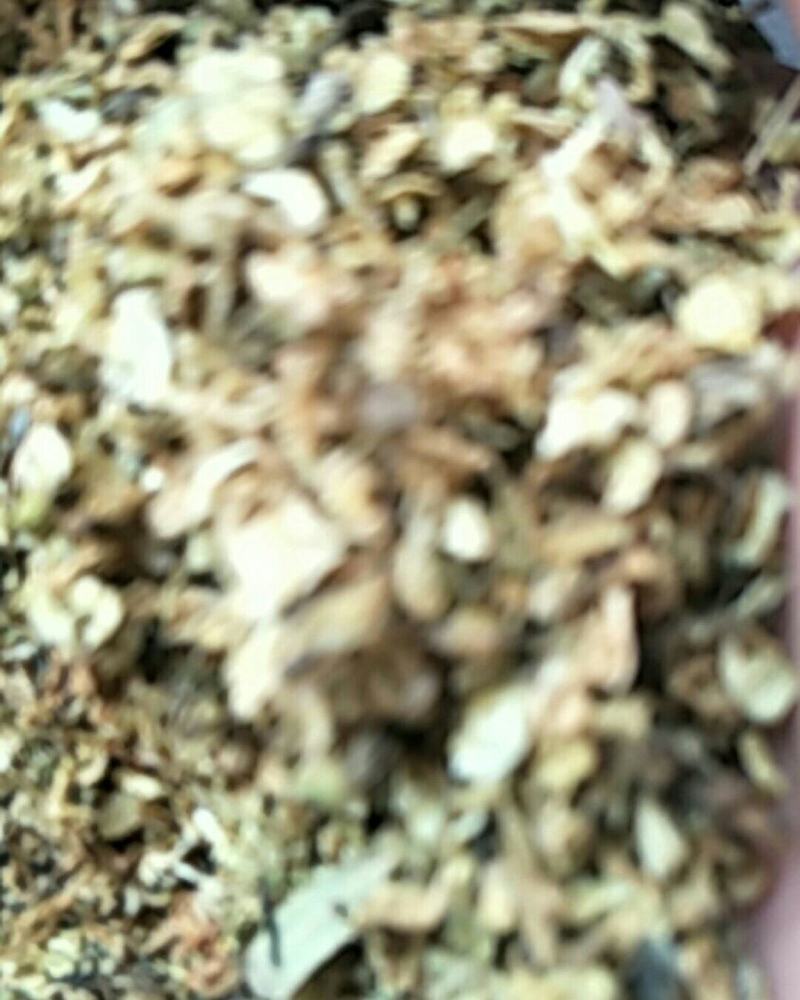 槐花，常年批发供应冷背中药材槐花