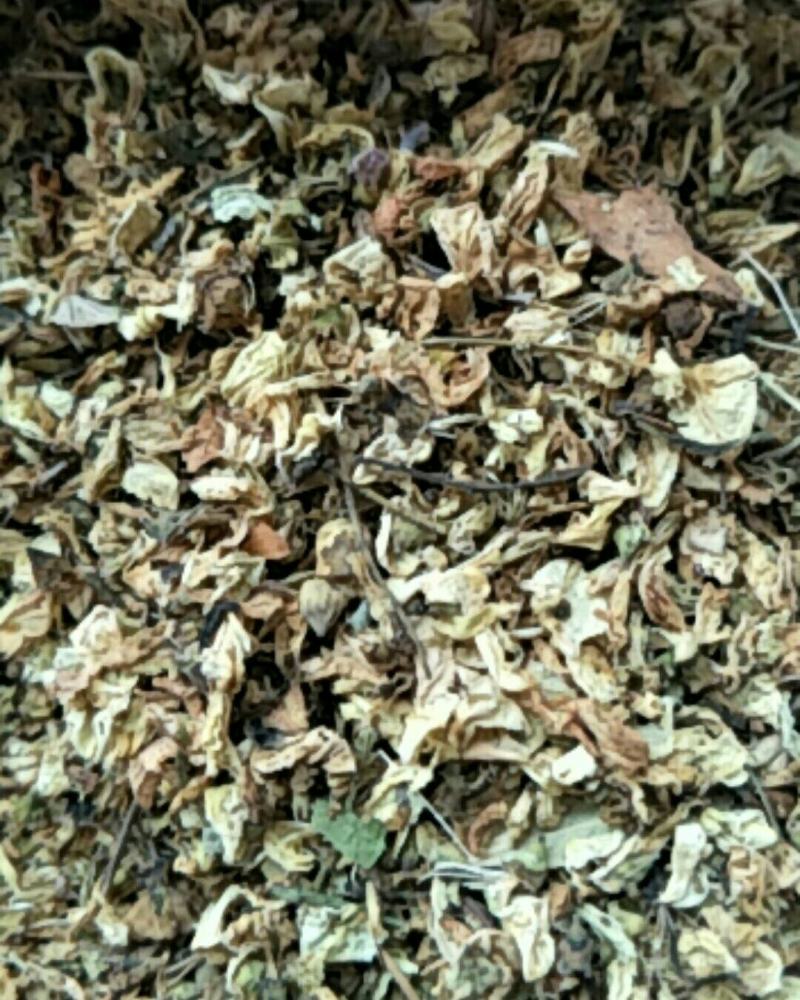槐花，常年批发供应冷背中药材槐花