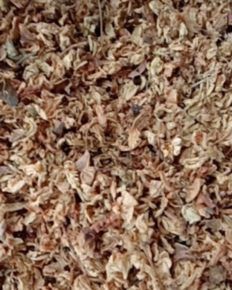 槐花，常年批发供应冷背中药材槐花，量大从优