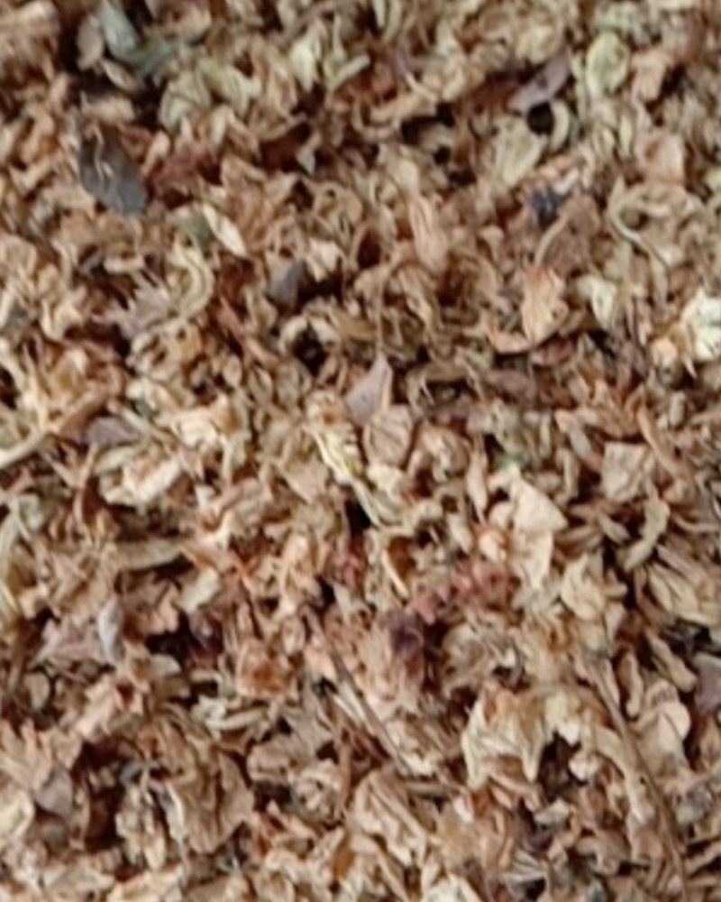 槐花，常年批发供应冷背中药材槐花，量大从优