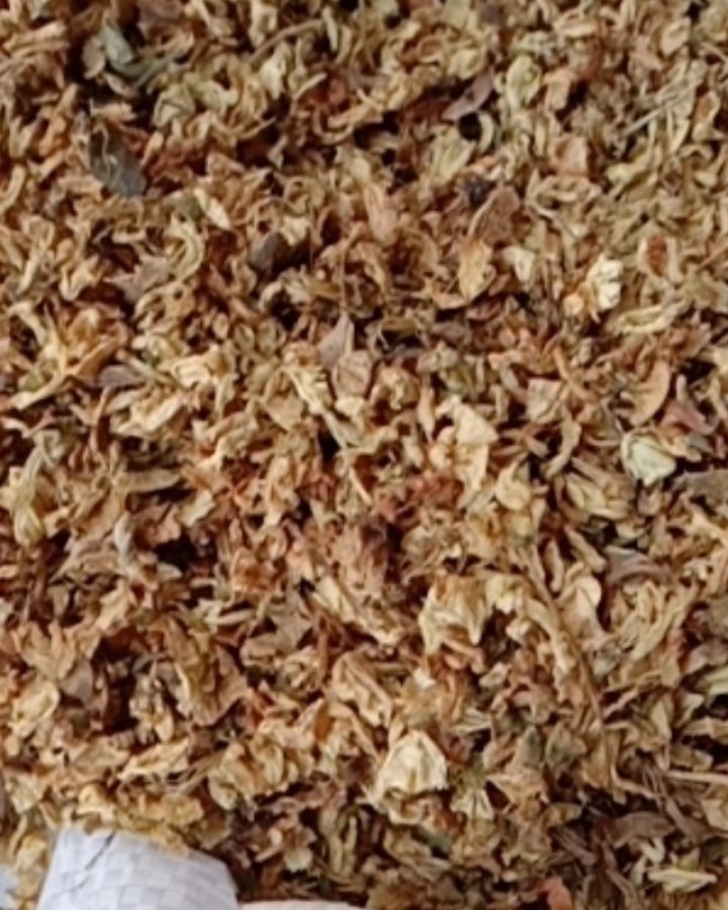 槐花，常年批发供应冷背中药材槐花，量大从优