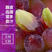 精品“郁金香”葡萄，产地直供，价格优惠，超市直供