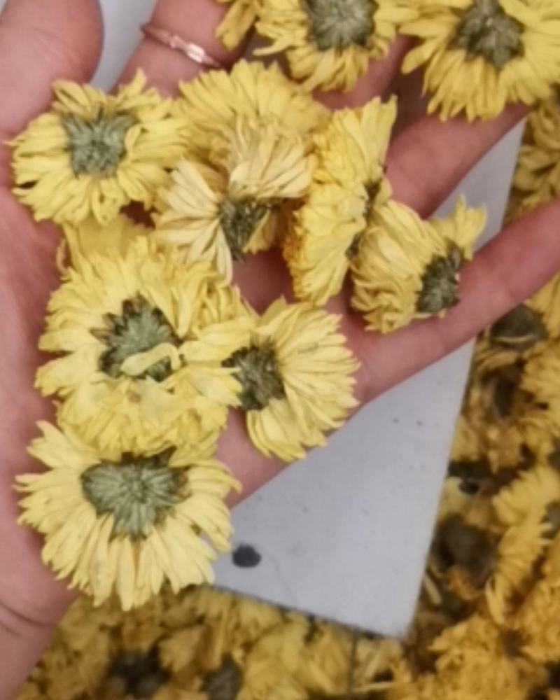 皇菊花茶大量批发零售