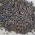 精选薰衣草大量批发零售质量保证