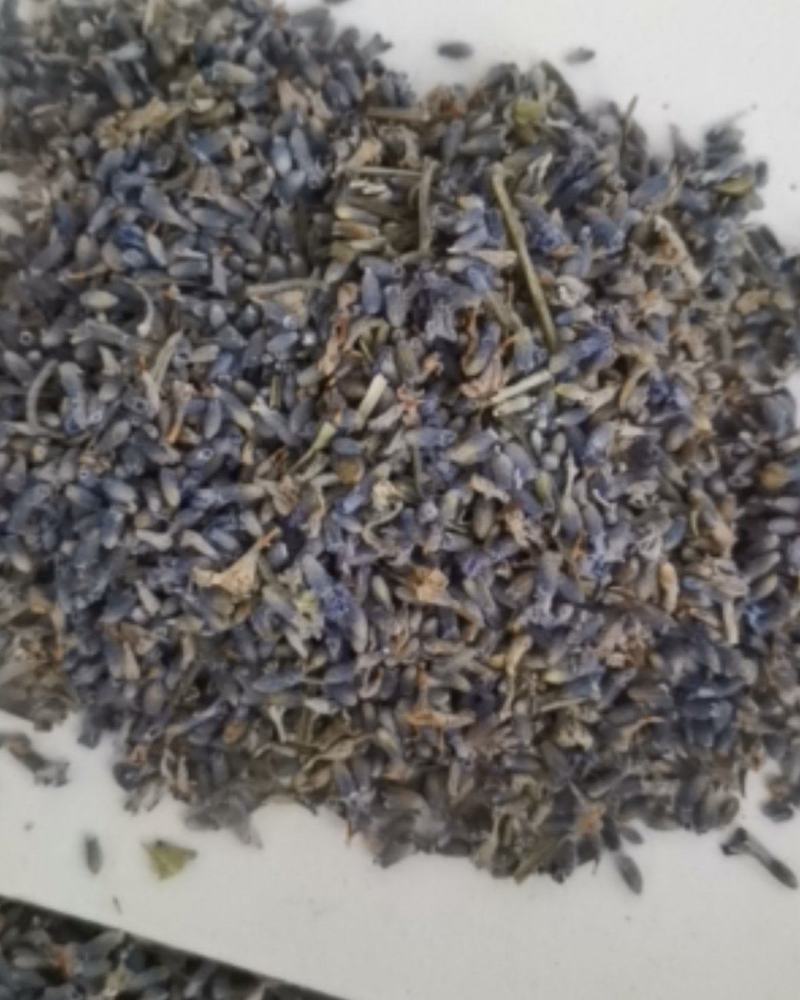 精选薰衣草大量批发零售质量保证