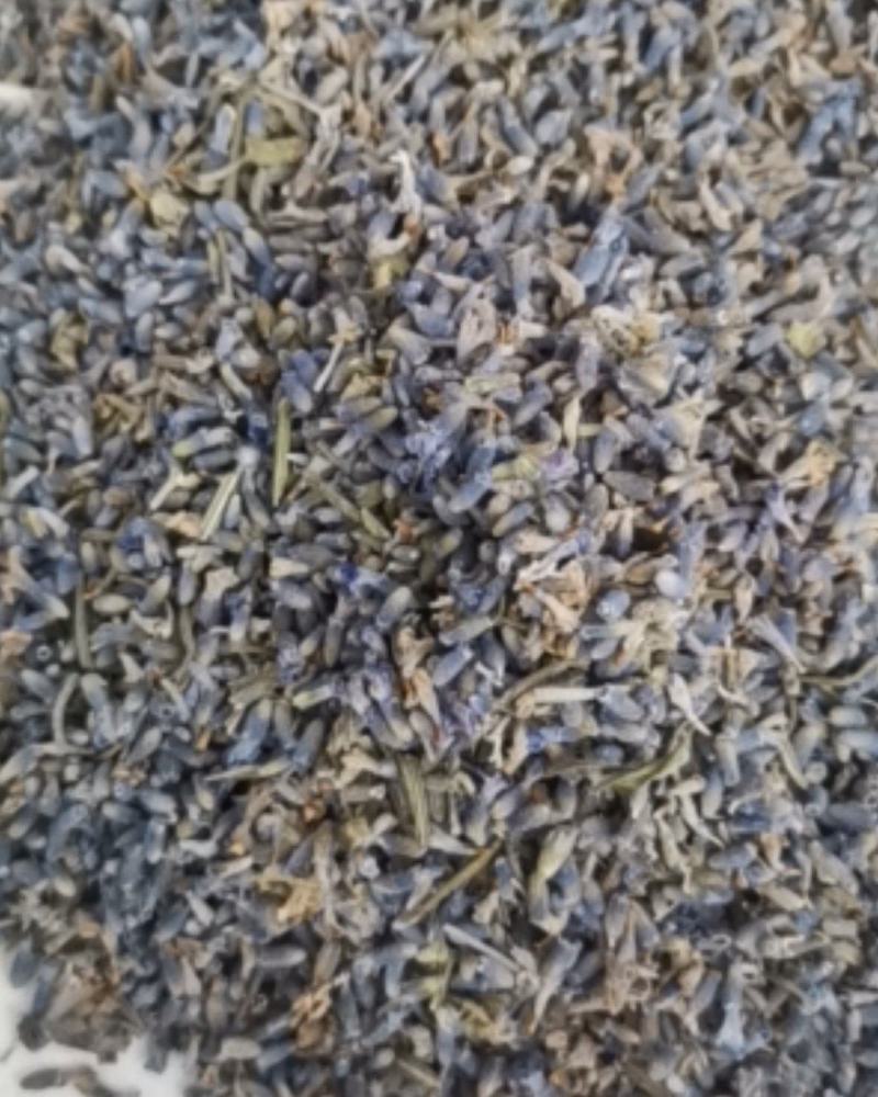 精选薰衣草大量批发零售质量保证