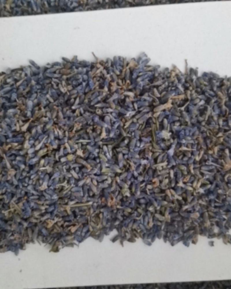 精选薰衣草大量批发零售质量保证