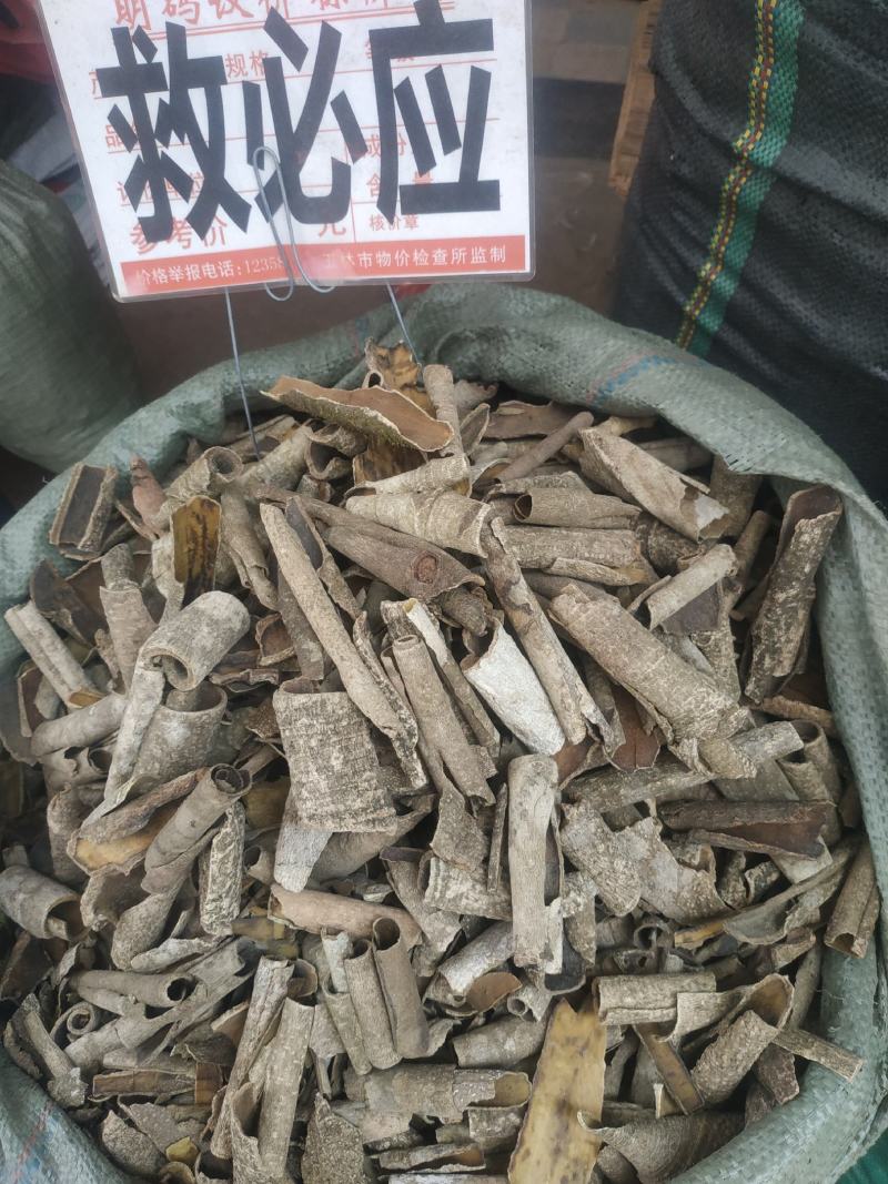 救必应～新货～量大优惠～1公斤起售～欢迎咨询采购