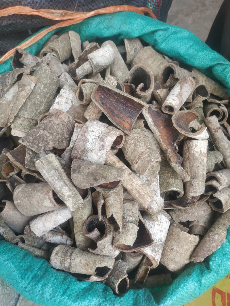 救必应～新货～量大优惠～1公斤起售～欢迎咨询采购