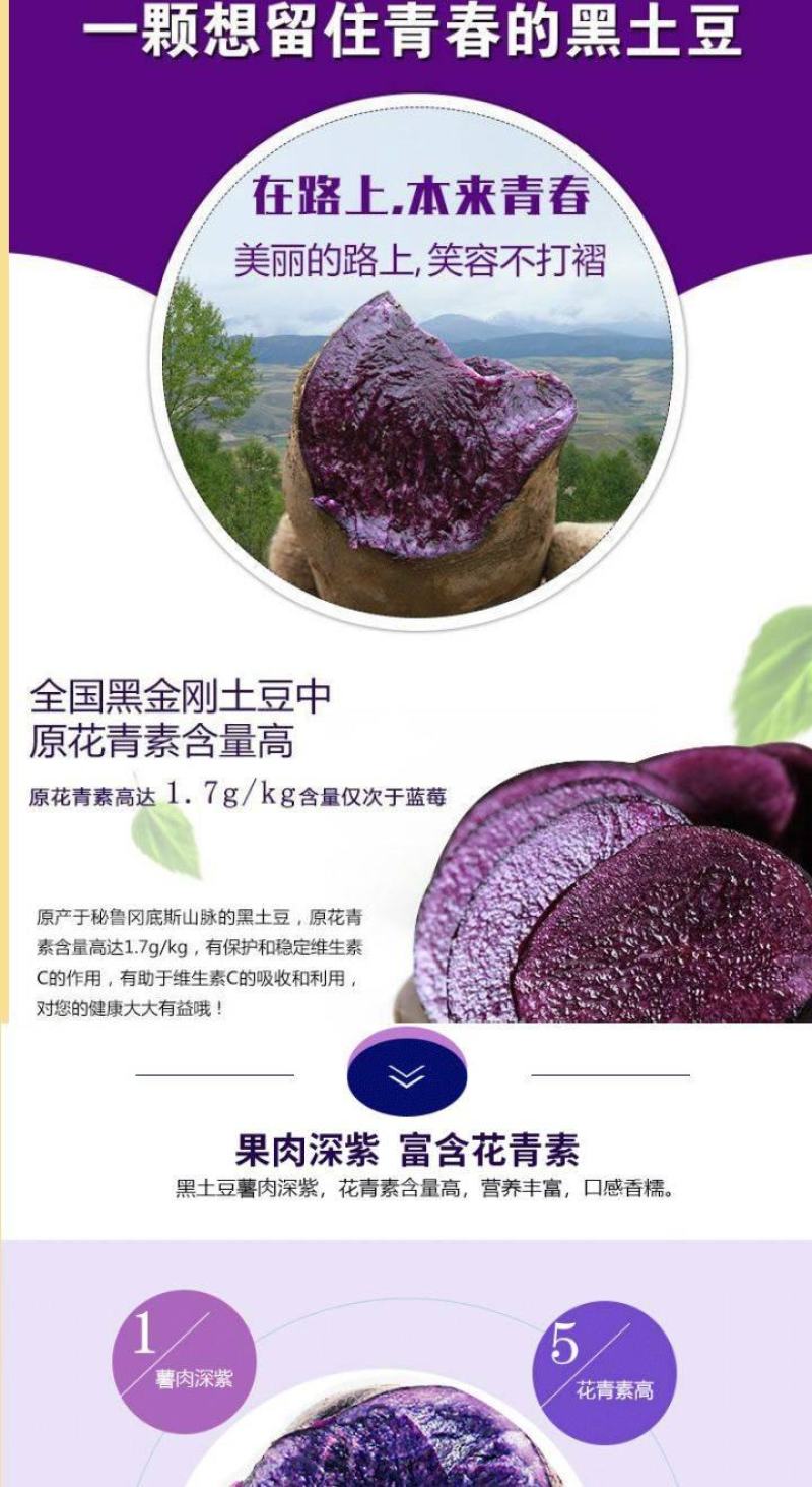 紫黑土豆黑土豆花青素含量高的黑土豆5斤装包邮