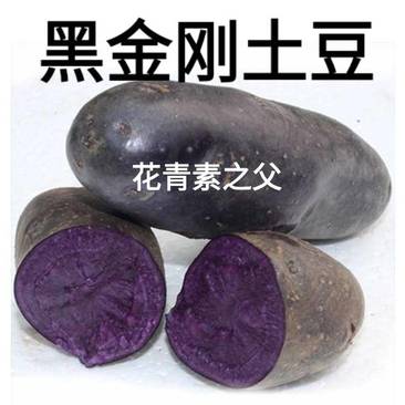 紫黑土豆黑土豆花青素含量高的黑土豆5斤装包邮